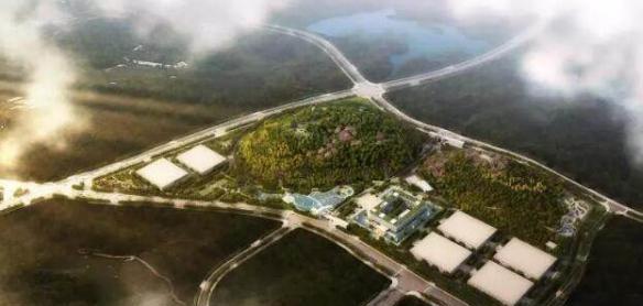 腾讯生态养鹅,生态养鹅模式