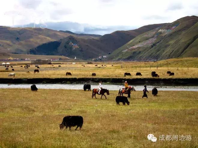 道孚玉科网红民宿,道孚惠远寺莲花圣地风情民宿