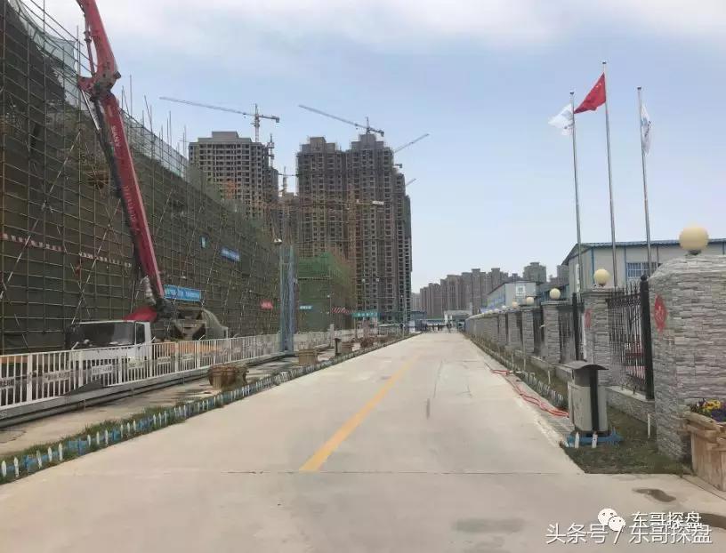 又一神盘诞生,花儿为什么这样红?