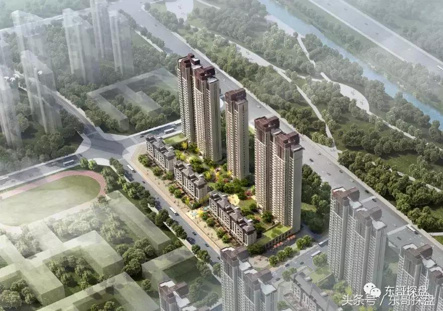 又一神盘诞生,花儿为什么这样红?