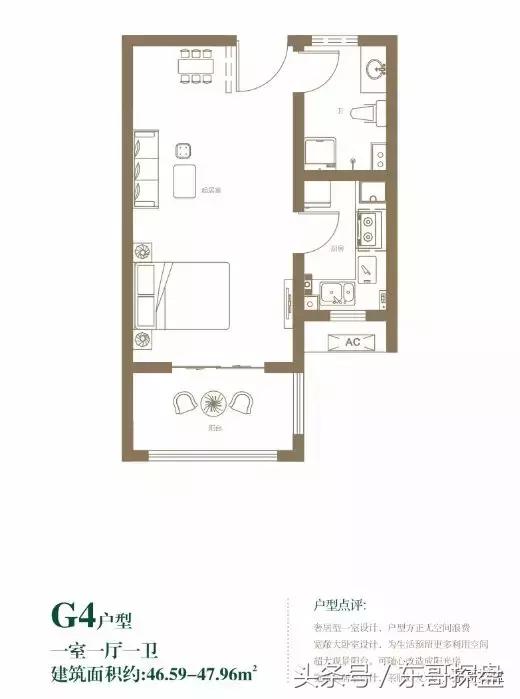 又一神盘诞生,花儿为什么这样红?