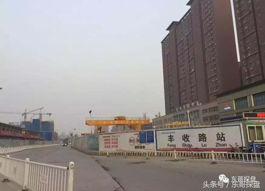 又一神盘诞生,花儿为什么这样红?