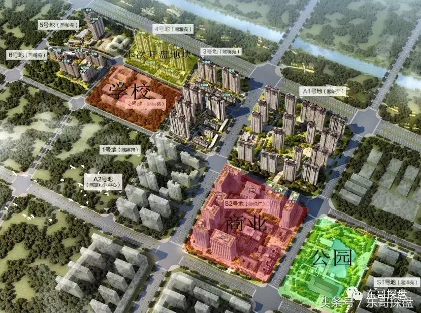 又一神盘诞生,花儿为什么这样红?