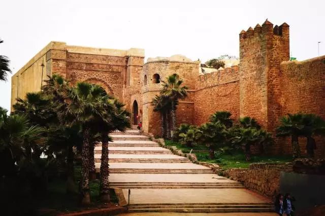 不同于你想象之中的卡萨布兰卡