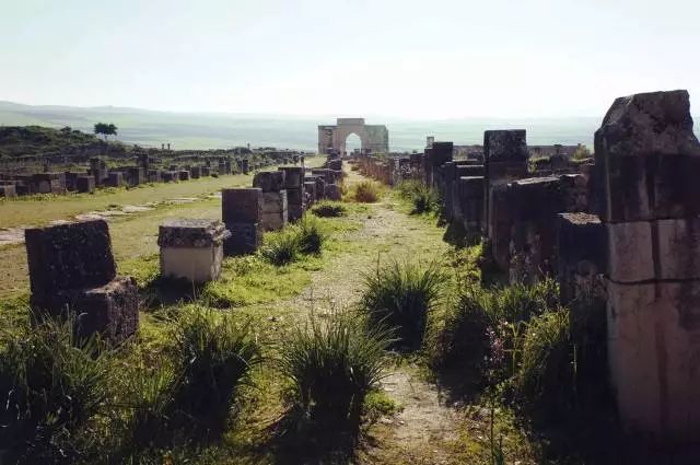 不同于你想象之中的卡萨布兰卡