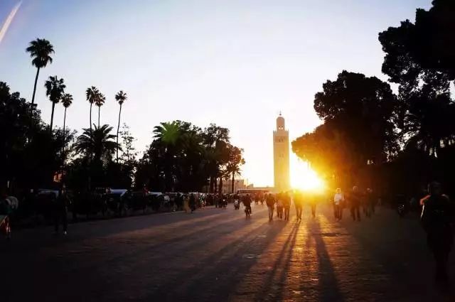 不同于你想象之中的卡萨布兰卡