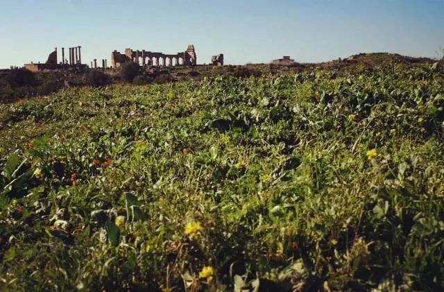 不同于你想象之中的卡萨布兰卡