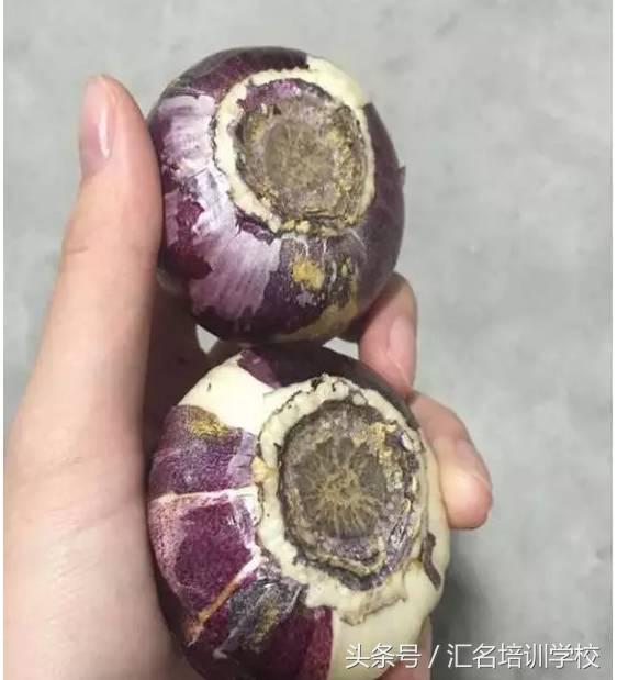 养花烂根枯萎怎么办用什么西药,养花养草烂叶怎么办