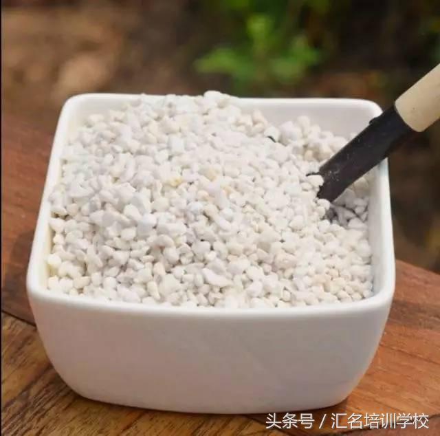 养花烂根枯萎怎么办用什么西药,养花养草烂叶怎么办