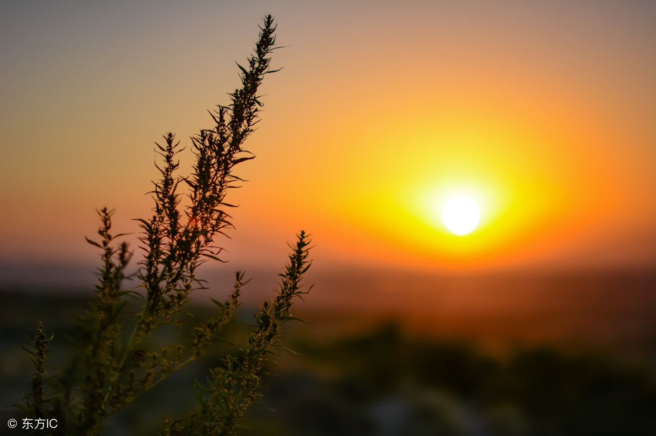 人教版初中语文必背古诗词,初中语文新课标必背古诗文有哪些