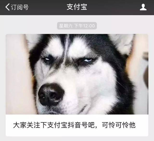 抖音变现的16种方法最靠谱,手把手教你十种抖音变现方式