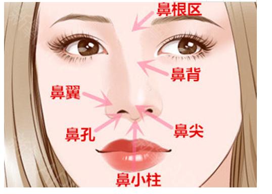 一拳喵星人,一拳让猫咪失去战斗力