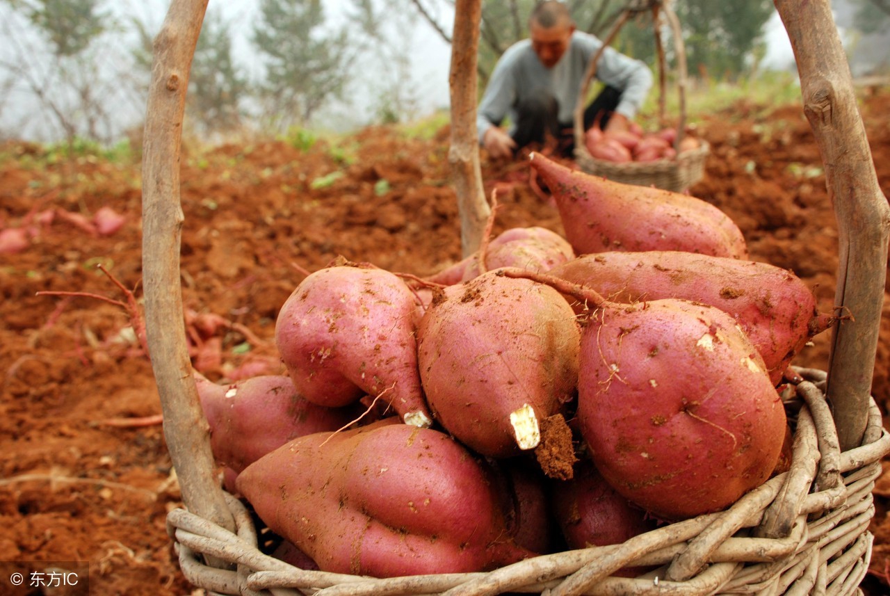 宝宝便秘怎么处理有效果,宝宝便秘的通便方法