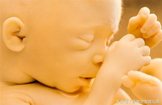 怀孕期间早中晚吃什么最好,孕早中晚期孕妇禁忌食物一览表