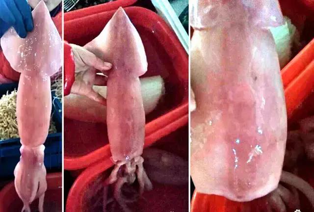 烟台海边海鲜寻找攻略,盘点海鲜市场所有进口大海鲜