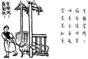 她一家4口都吃素，而今她用创意素食引领香港！受万人追捧