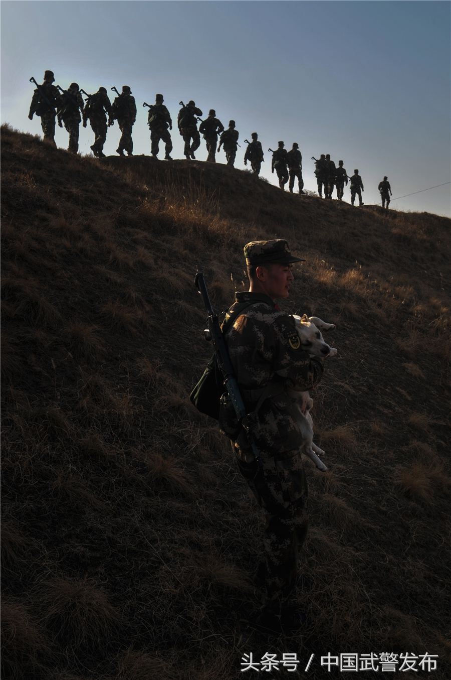 编外“战士”叫“熊猫”