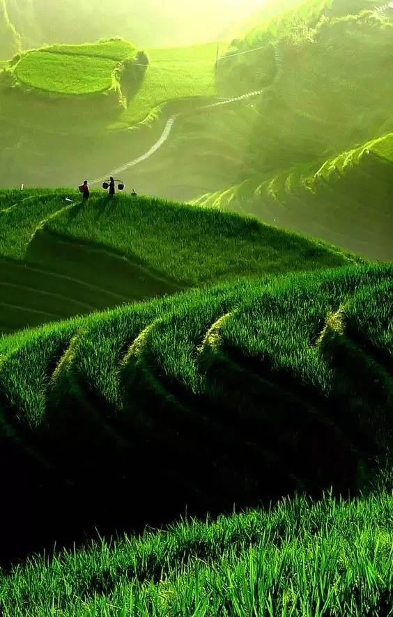 广西最美花海在哪里,广西小众美丽村庄