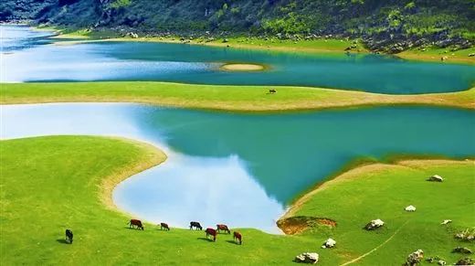 广西最美花海在哪里,广西小众美丽村庄