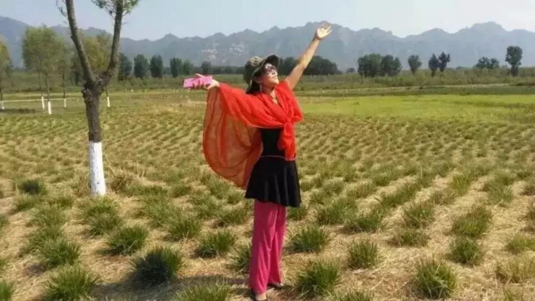 看完我妈拍的春游照片，我跟我爸都哭了……