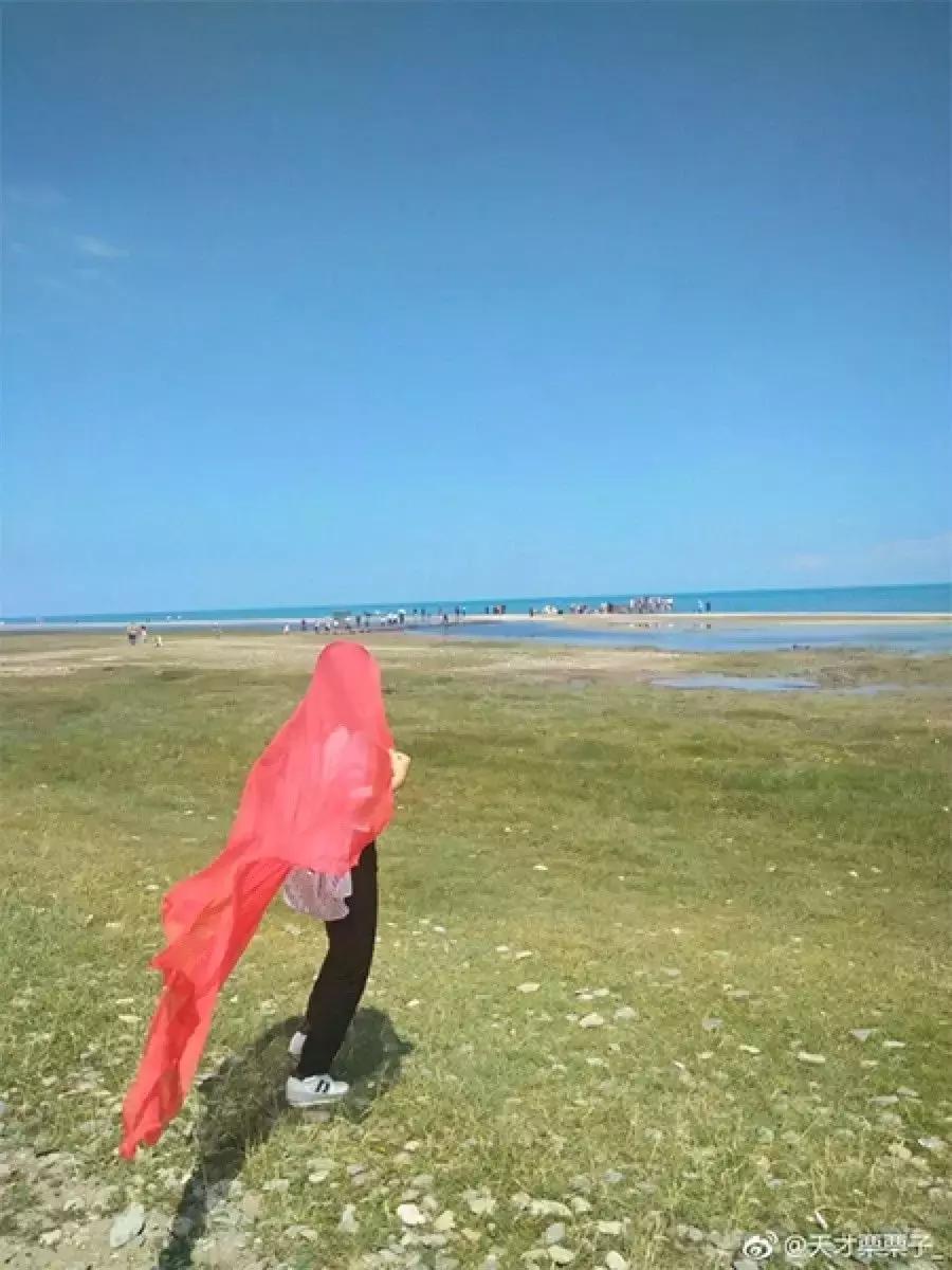 看完我妈拍的春游照片，我跟我爸都哭了……