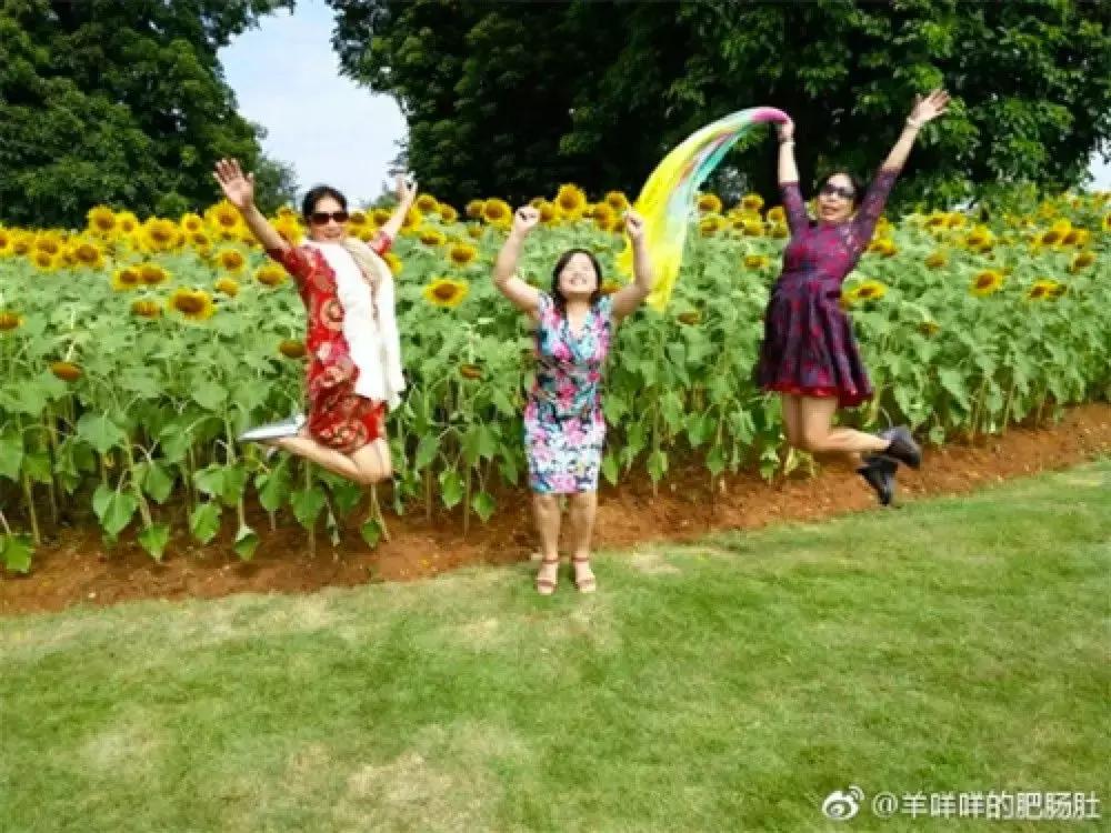 看完我妈拍的春游照片，我跟我爸都哭了……