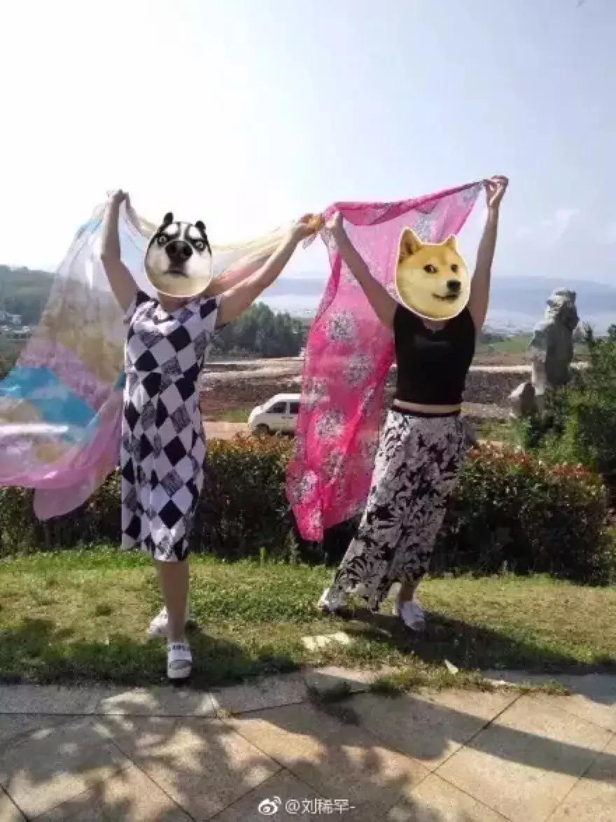 看完我妈拍的春游照片，我跟我爸都哭了……