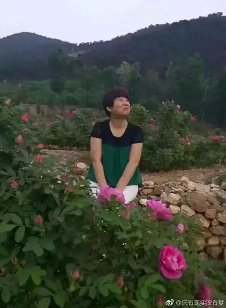 看完我妈拍的春游照片，我跟我爸都哭了……