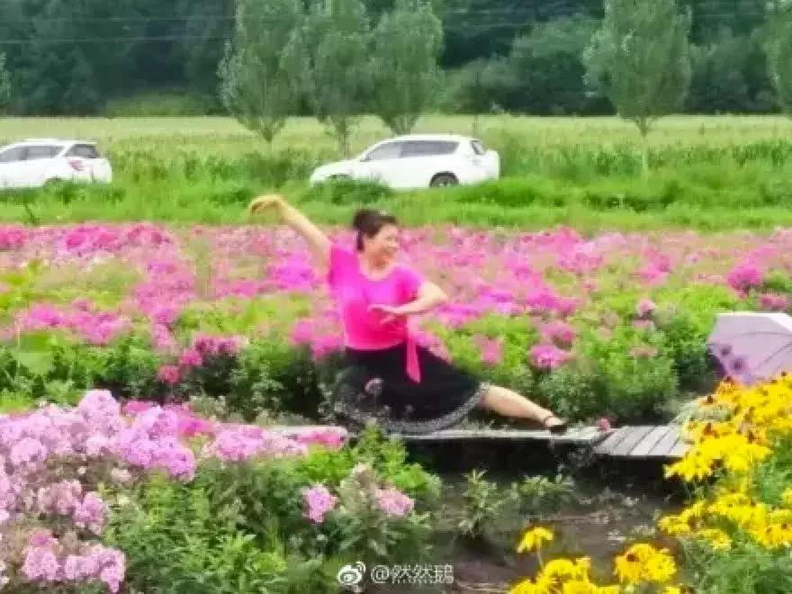 看完我妈拍的春游照片，我跟我爸都哭了……