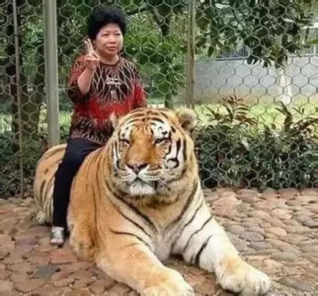 看完我妈拍的春游照片，我跟我爸都哭了……