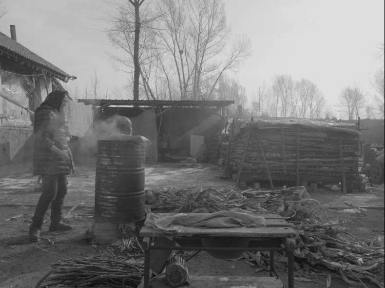 免费看电视连续剧寡妇成仙记,小寡妇成仙记完整版免费观看