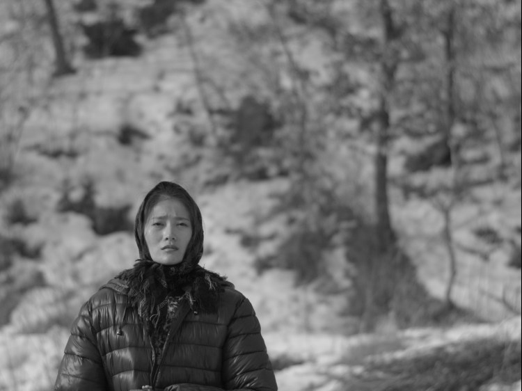 免费看电视连续剧寡妇成仙记,小寡妇成仙记完整版免费观看