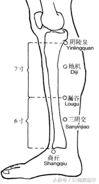 腰痛按大肠俞穴位,穴位治尿频