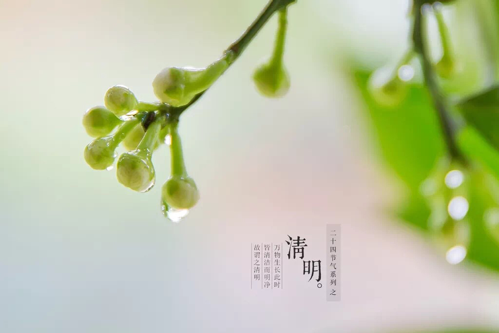 清明诗句经典古诗盘点,50首关于清明节顶级绝美古诗词