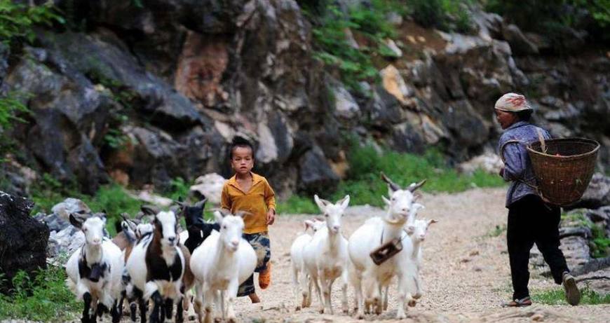 快手怎么解答封禁问题,快手永久封禁不能解决吗