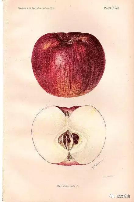 灰姑娘pk美女野兽,灰姑娘pk丑小鸭