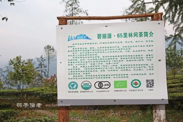 沧源,云南一个神秘的地方