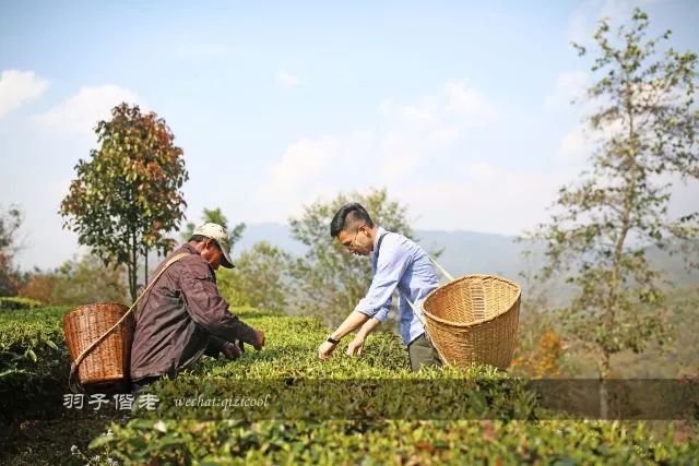 沧源,云南一个神秘的地方
