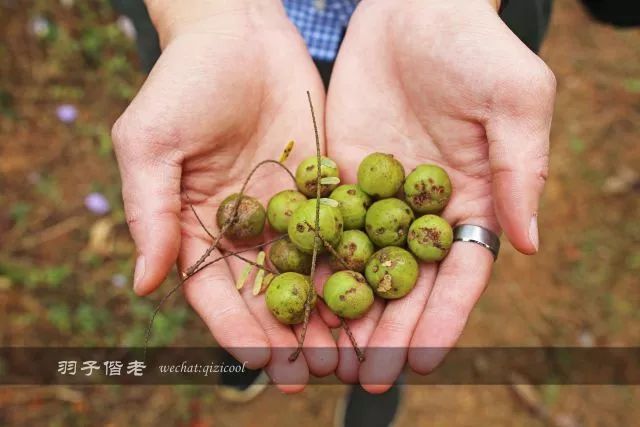 沧源,云南一个神秘的地方