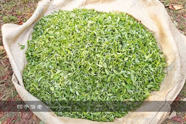 沧源,云南一个神秘的地方