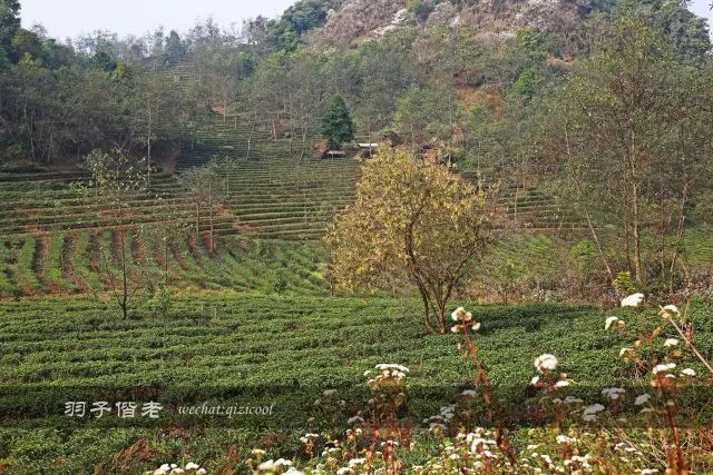 沧源,云南一个神秘的地方