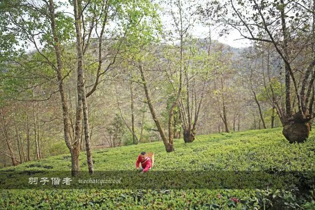 沧源,云南一个神秘的地方