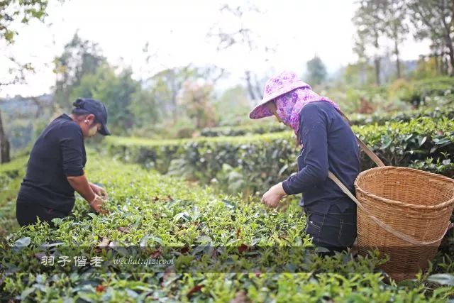 沧源,云南一个神秘的地方