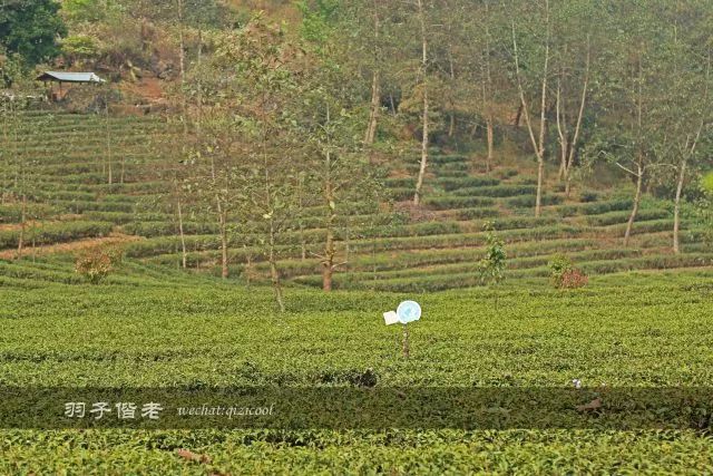 沧源,云南一个神秘的地方
