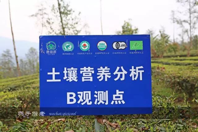 沧源,云南一个神秘的地方