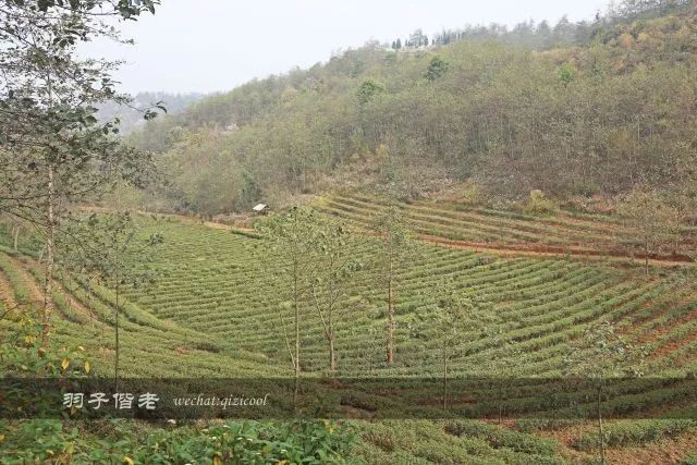 沧源,云南一个神秘的地方