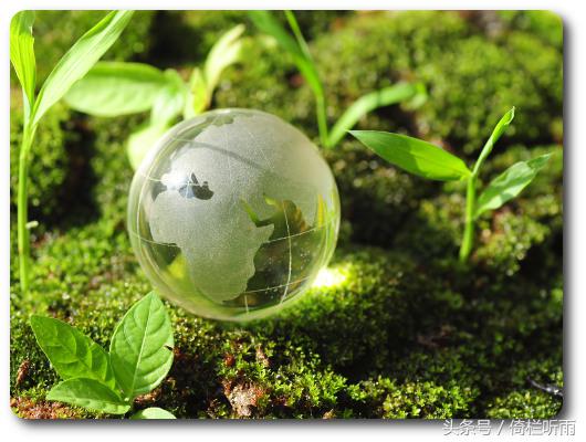 生肖冲的话该如何解决,生肖对冲的两个人能在一起吗