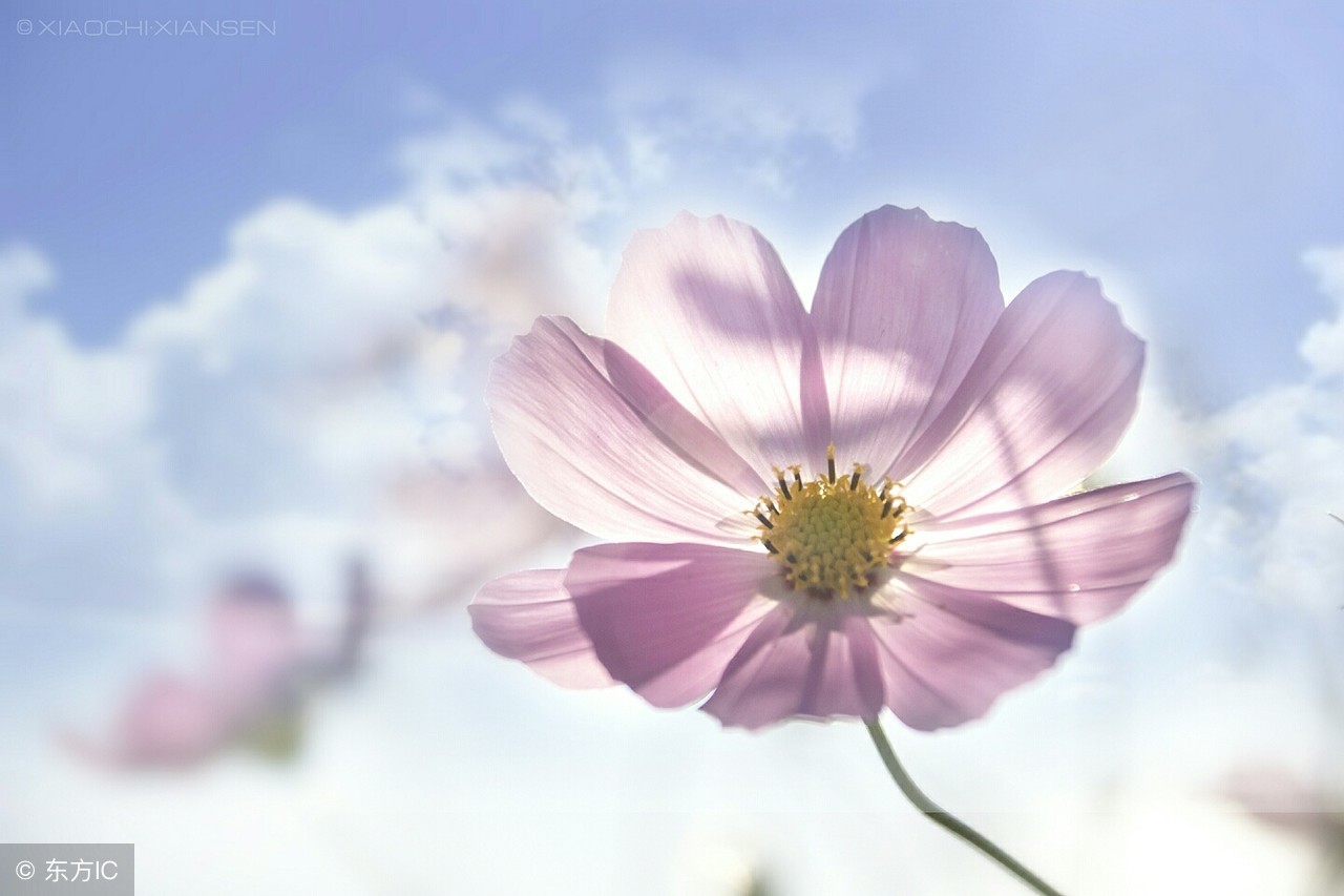 加人的最简单的方法,加人方法分享