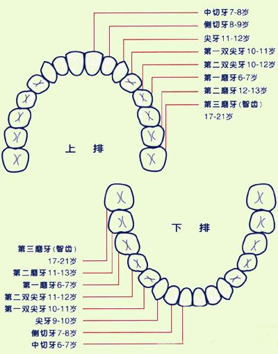 乳牙能退，所以龋坏不用补？出现这些问题，后悔都来不及