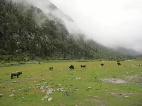 踏春出游四天三晚,四姑娘山五一节值得去吗